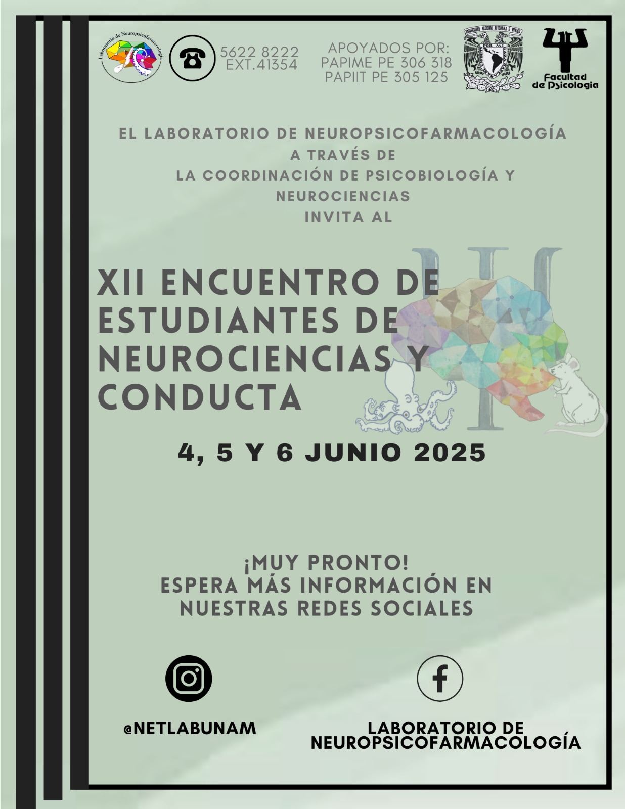 XII Encuentro de Estudiantes en Neurociencias
